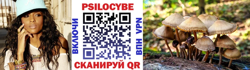 Псилоцибиновые грибы GOLDEN TEACHER  купить наркоту  Октябрьский 