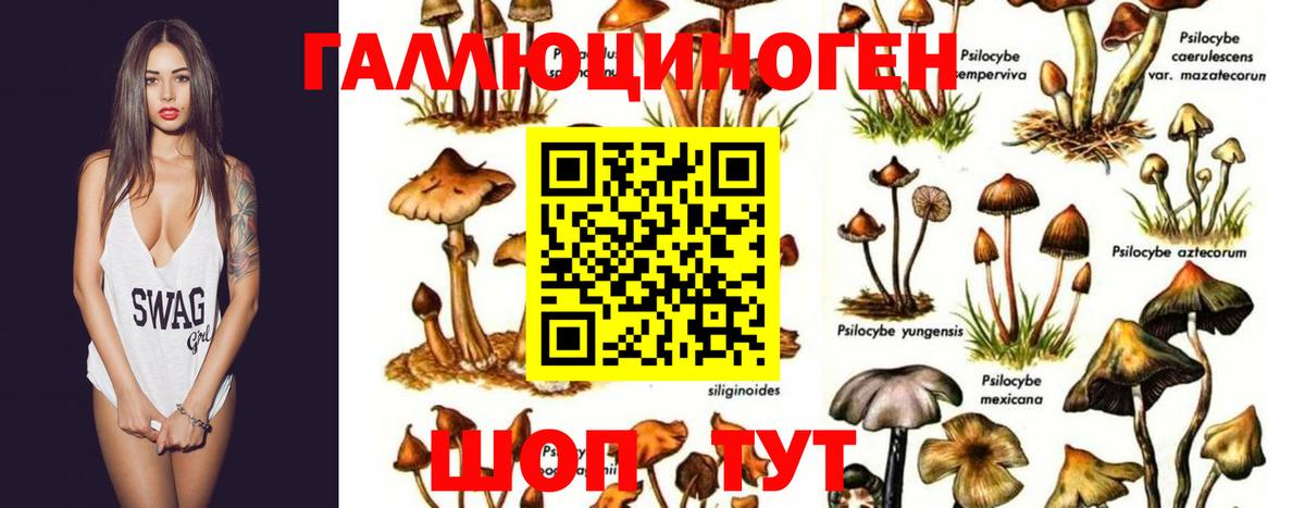Псилоцибиновые грибы прущие грибы  Псилоцибиновые грибы прущие грибы  Октябрьский  Вход с VPN 